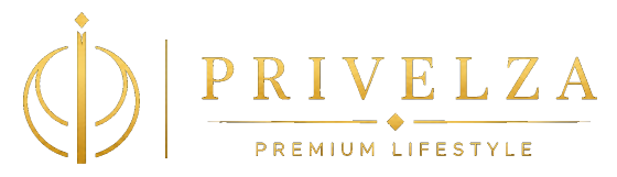 privelza website logo transparent